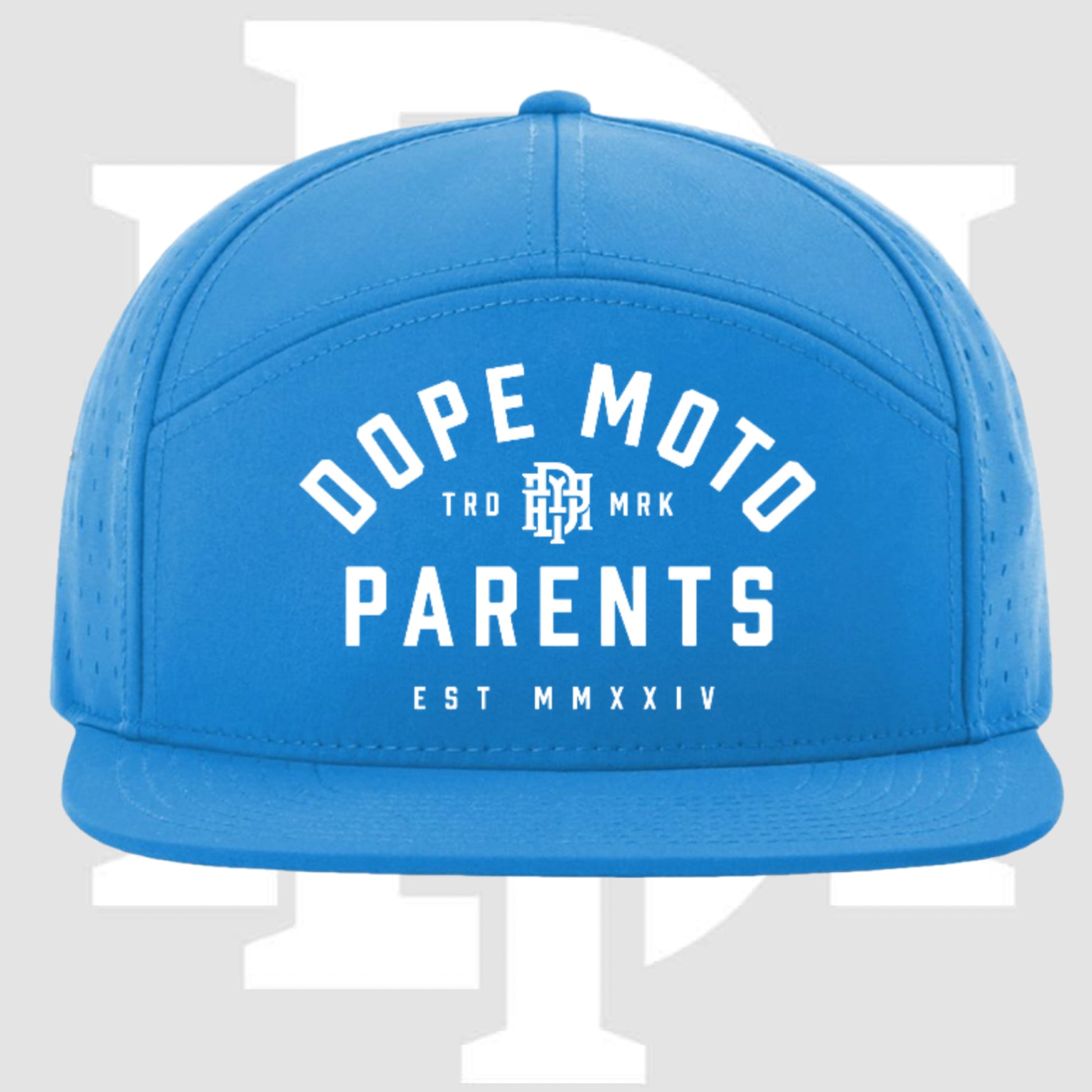 DMP Trademark Pool Blue FlatBill SnapBack